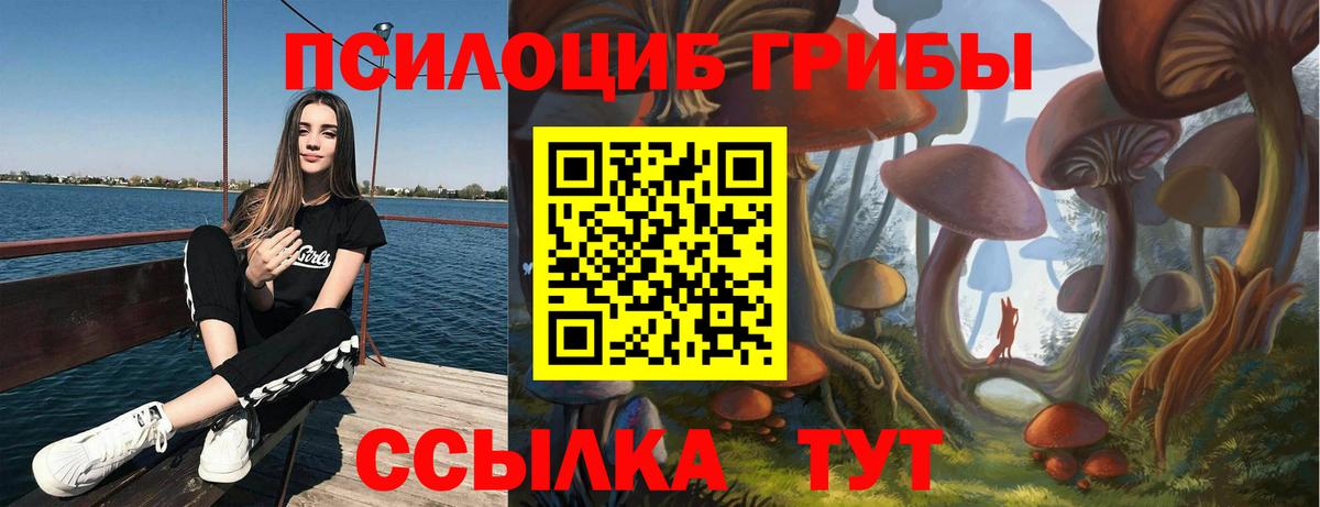 Ростов Великий  Галлюциногенные грибы мухоморы  Вход с VPN 